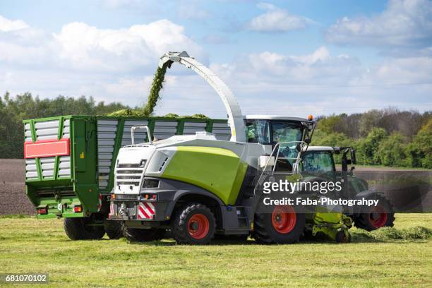 gras harvest - landwirtschaftliche tätigkeit bildbanksfoton och bilder