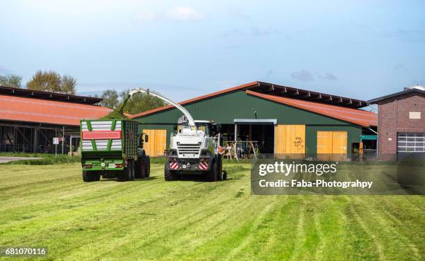 gras harvest - landwirtschaftliche tätigkeit bildbanksfoton och bilder