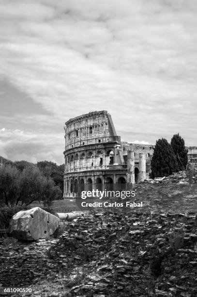 roman colosseum - itália fotografías e imágenes de stock