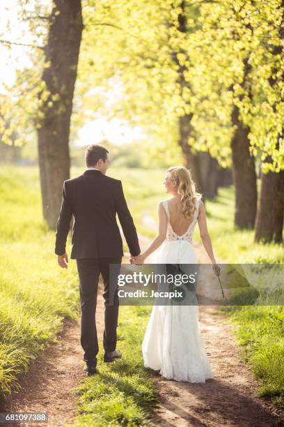 walk of love in the nature - bride walking stock pictures, royalty-free photos & images