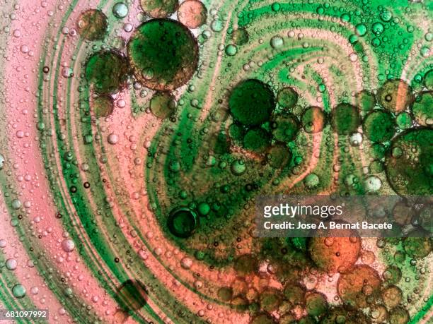 full frame of the textures formed by bubbles and drops of oil in the form of circle floated on water on a pink colored background - cell structure stock-fotos und bilder
