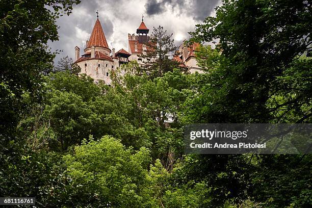 bran dracula castle, romania - bran stock pictures, royalty-free photos & images