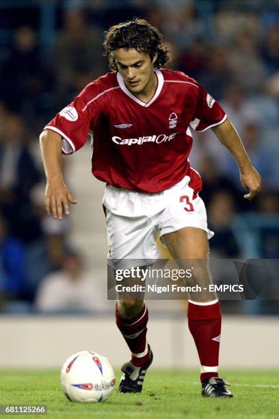 19 Davy Oyen Stock Photos, HighRes Pictures, and Images Getty Images