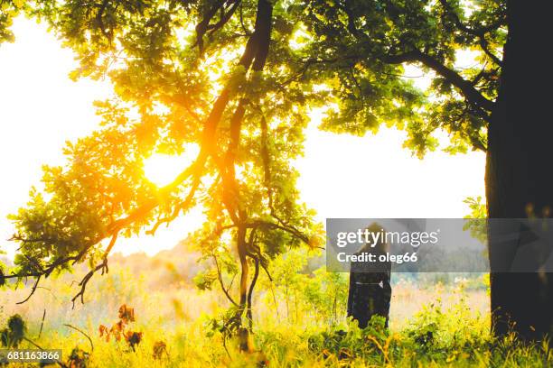 woman in a beautiful forest under a tree - oak leaf stock pictures, royalty-free photos & images