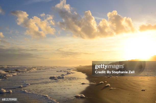 isle of palms beach during sunset - south carolina beach stock pictures, royalty-free photos & images
