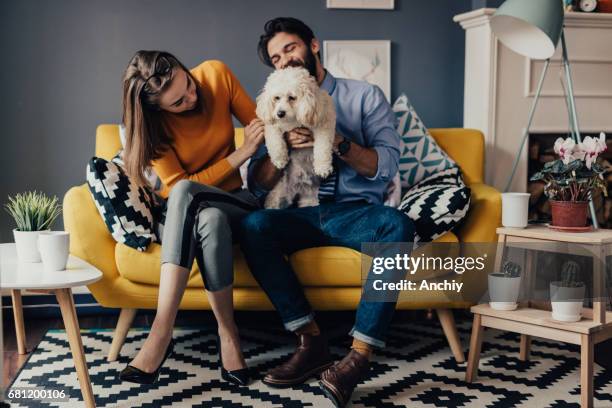 eine glückliche familie im wohnzimmer spielen - family on couch with mugs stock-fotos und bilder