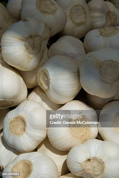 garlic - dennis mccoleman stock pictures, royalty-free photos & images