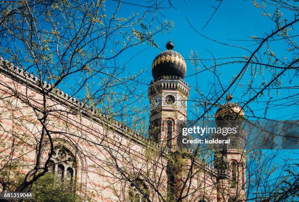 the great synagogue of budapest - bat mitsvah photos et images de collection
