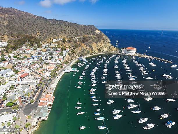 views over catalina island's avalon harbor. - catalina island foto e immagini stock