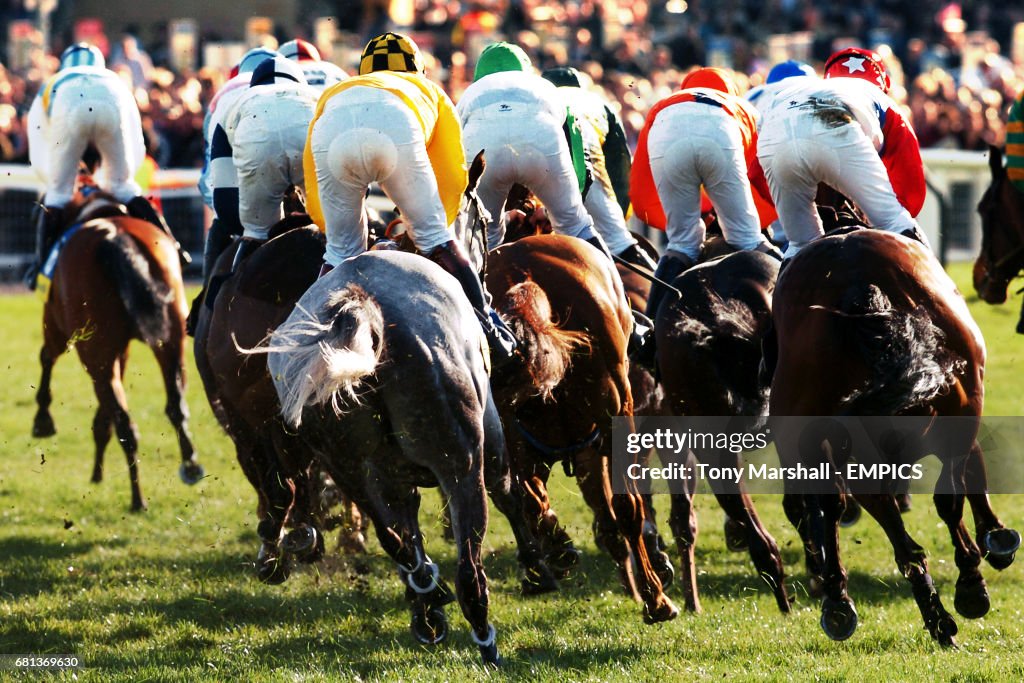 Horse Racing - Cheltenham Festival