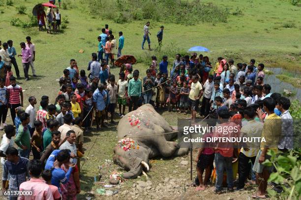 Indian villagers and forestry workers gather around the carcass of an elephant as it lies near railway tracks after being struck by a passenger train...