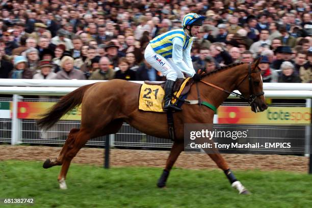 165 Tusk Horse Stock Photos, High-Res Pictures, and Images - Getty Images