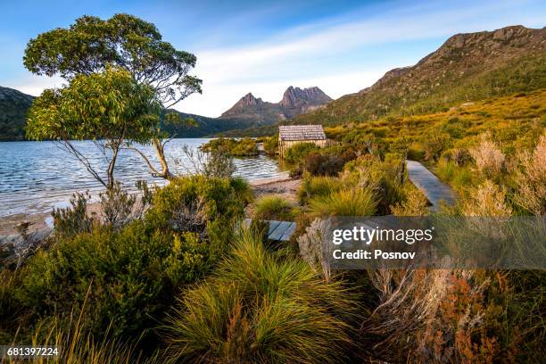 boathouse an cradle mountain - cradle mountain stock pictures, royalty-free photos & images
