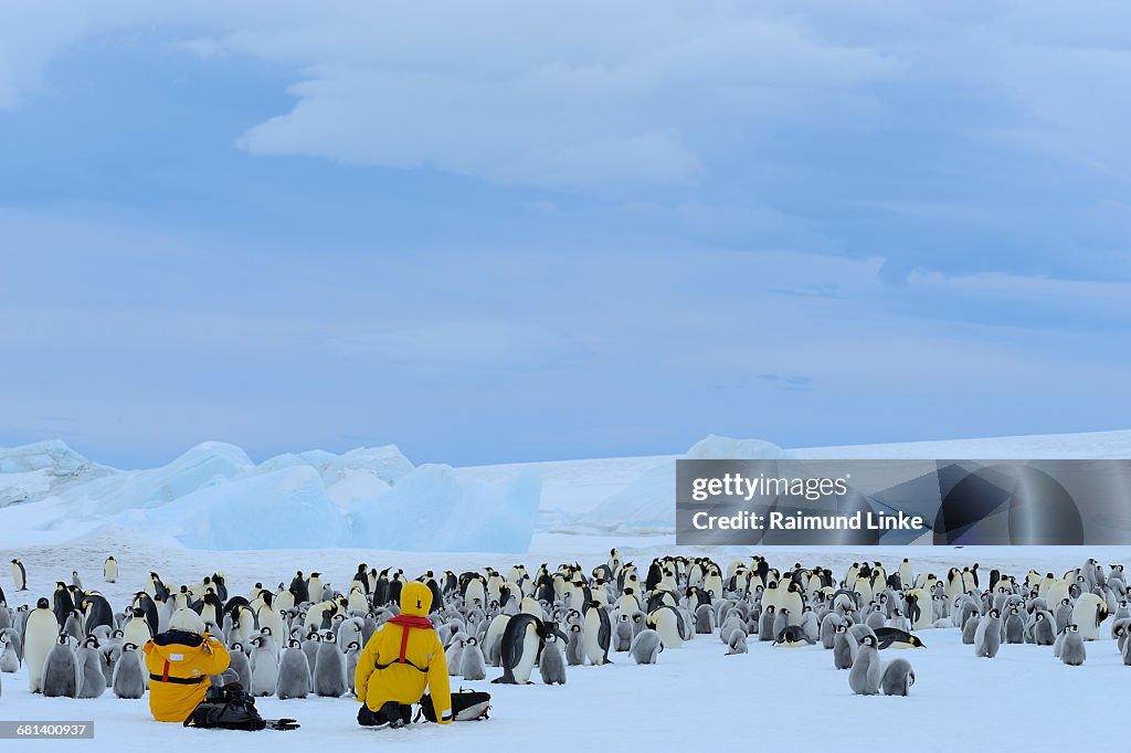Tourists in emperor penguin colony