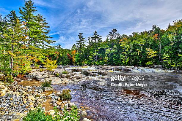 lower falls,swift river,new hampshire - cataratas lower falls fotografías e imágenes de stock