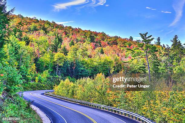 autumn fall colors on white mountain road - white mountain national forest stockfoto's en -beelden