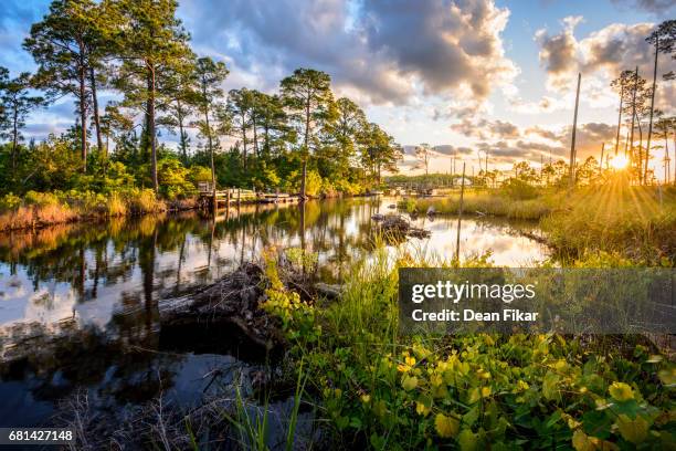 florida coastal inlet at dawn - estero zona húmeda fotografías e imágenes de stock