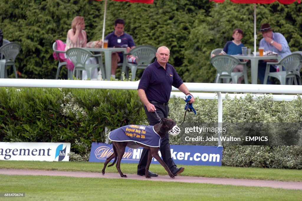 Horse Racing - Kempton Park - Bjorn Again Night