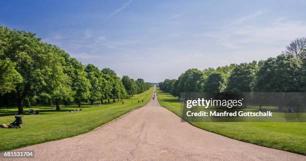the long walk at windsor great park - long walk windsor great park stockfoto's en -beelden