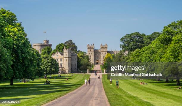 the long walk at windsor great park - windsor stock pictures, royalty-free photos & images