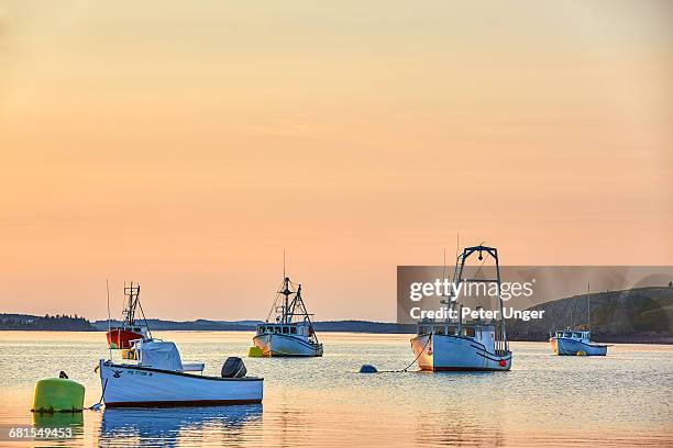 boats in lubec harbor, lubec, maine - lubec stock-fotos und bilder