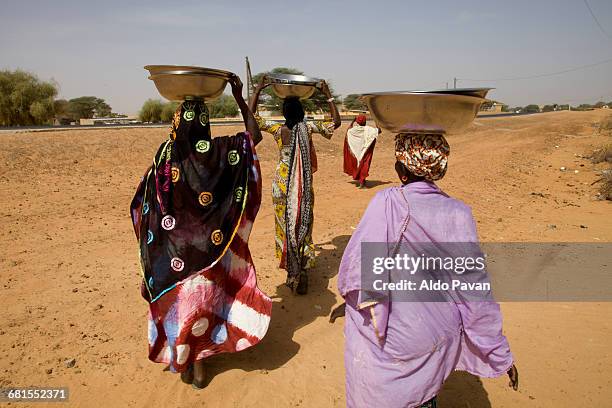 senegal, saint louis, podor, donay village - ontwikkelingslanden stockfoto's en -beelden