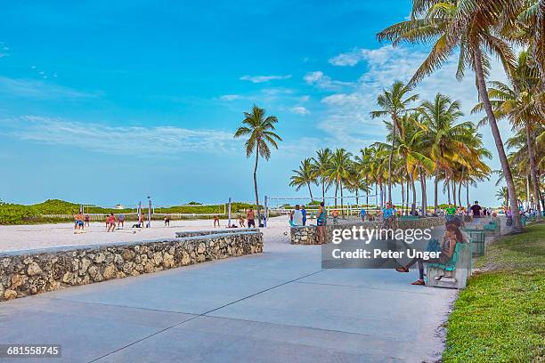 park sidewalk and volleyball, lummus park - peter parks imagens e fotografias de stock