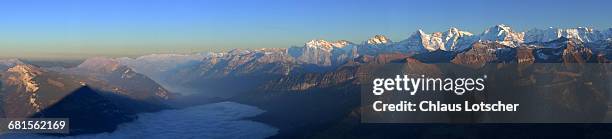 panorama bernese alps from mt. niesen - schreckhorn stock-fotos und bilder