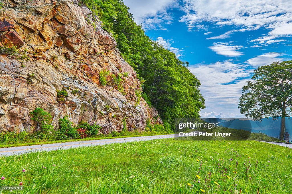 Roadway on the Blue Ridge Parkway,North Carolina
