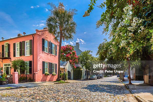 cobblestoned street and historic buildings,usa - south carolina stockfoto's en -beelden