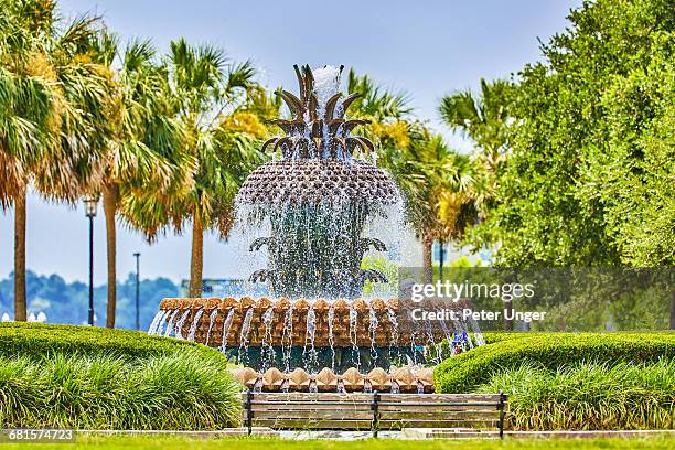 pineapple fountain in charleston,south carolina - south carolina fotografías e imágenes de stock