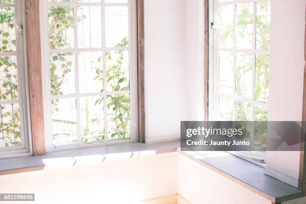 at the window on sunny day - sunny window stock pictures, royalty-free photos & images