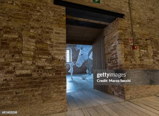 General view at the Argentinian Pavilion with the installation by Claudia Fontes "El Problema del Caballo" seen on May 10, 2017 in Venice, Italy. The...