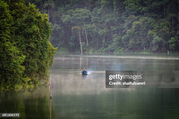 morning ride in royal belum rainforest park - perak state photos et images de collection