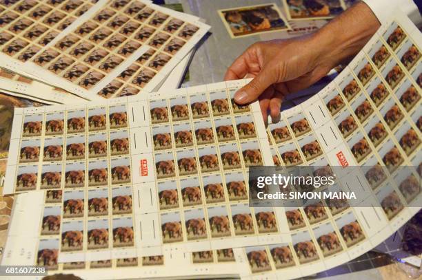 Philatelist, or person who "loves stamps", displays recently-launched, second edition stamps featuring the "Big 5" wild animals found within Kenyan...