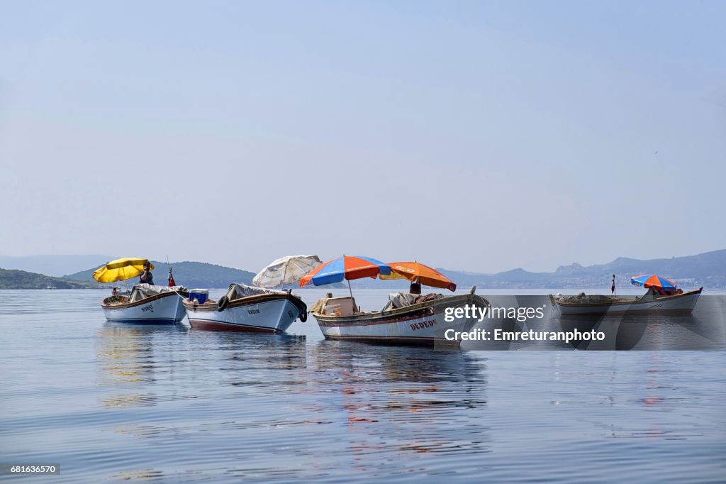 A fishing party.