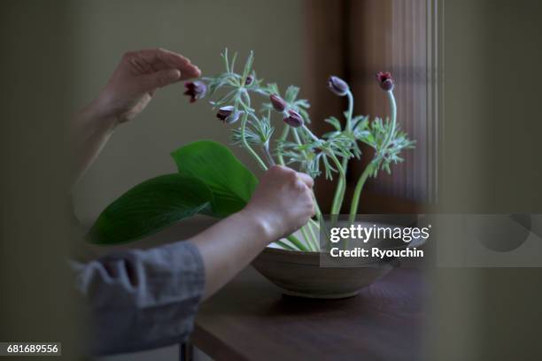 ikebana can live - ikebana stock pictures, royalty-free photos & images