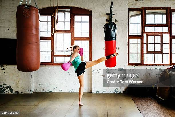 muay thai boxer during training session practicing - woman fighter stock-fotos und bilder