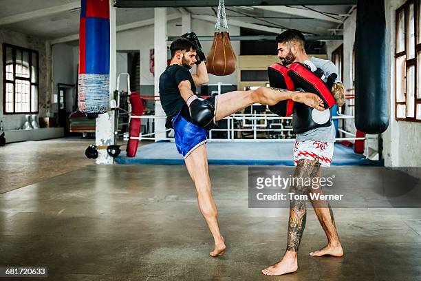 two muay thai boxing athletes during training - sparring stock-fotos und bilder