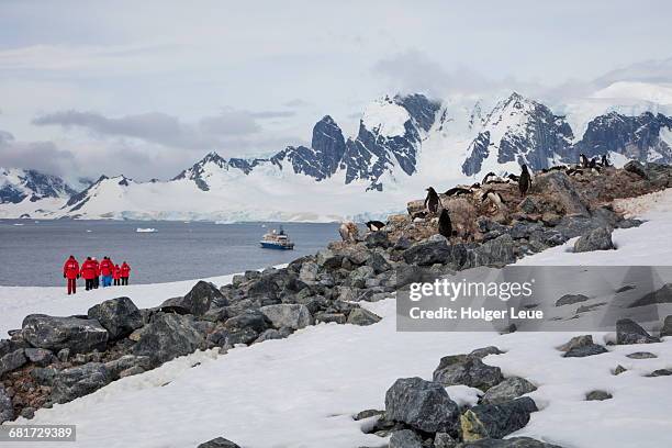people in antarctic landscape - antarctica people stock pictures, royalty-free photos & images