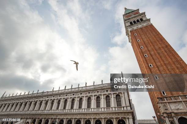 the bell tower of st mark's basilica in venice, italy - 鳥 stock pictures, royalty-free photos & images