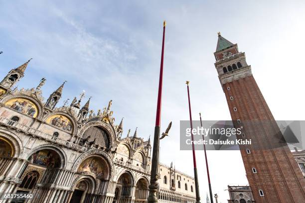 the bell tower of st mark's basilica in venice, italy - 飛ぶ stock pictures, royalty-free photos & images