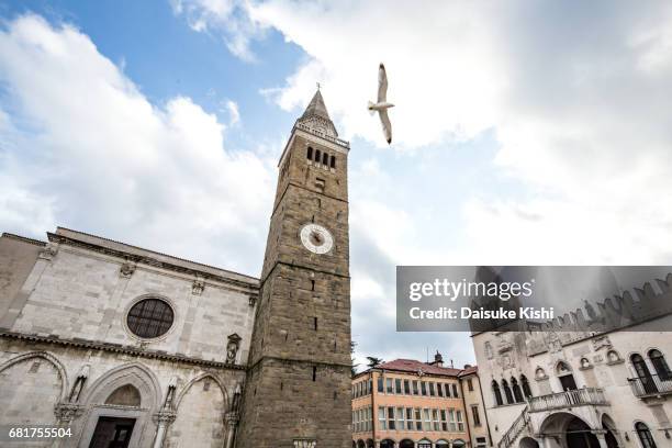 koper cathedral, slovenia - ヨーロッパ fotografías e imágenes de stock