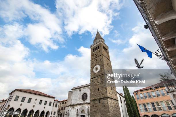 koper cathedral, slovenia - ローカルな名所 stock-fotos und bilder