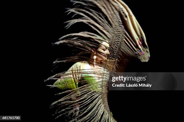 moving female flamenco dancer - hungarian dance theatre stock pictures, royalty-free photos & images