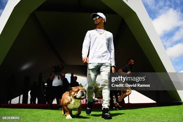 Lewis Hamilton of Great Britain and Mercedes GP walks in the Paddock with one of his dogs during previews for the Spanish Formula One Grand Prix at...