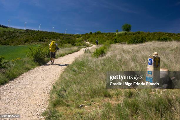 pilgrims- the way of st. james- navarre- spain - camino de santiago stock-fotos und bilder