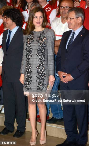 Queen Letizia of Spain attends the Red Cross World Day Commemoration at Maestranza Theater on May 11, 2017 in Seville, Spain.