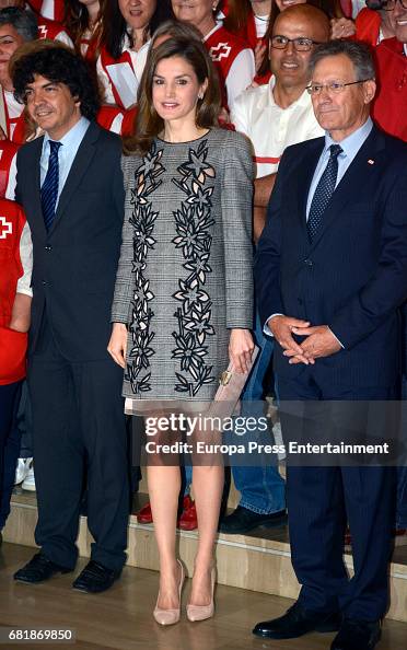 Queen Letizia of Spain Attends the Red Cross World Day Commemoration in Seville Queen Letizia of Spain Attends the Red Cross World Day Commemoration in Seville