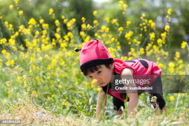 79 foto e immagini di Ladybug Baby Costume - Getty Images